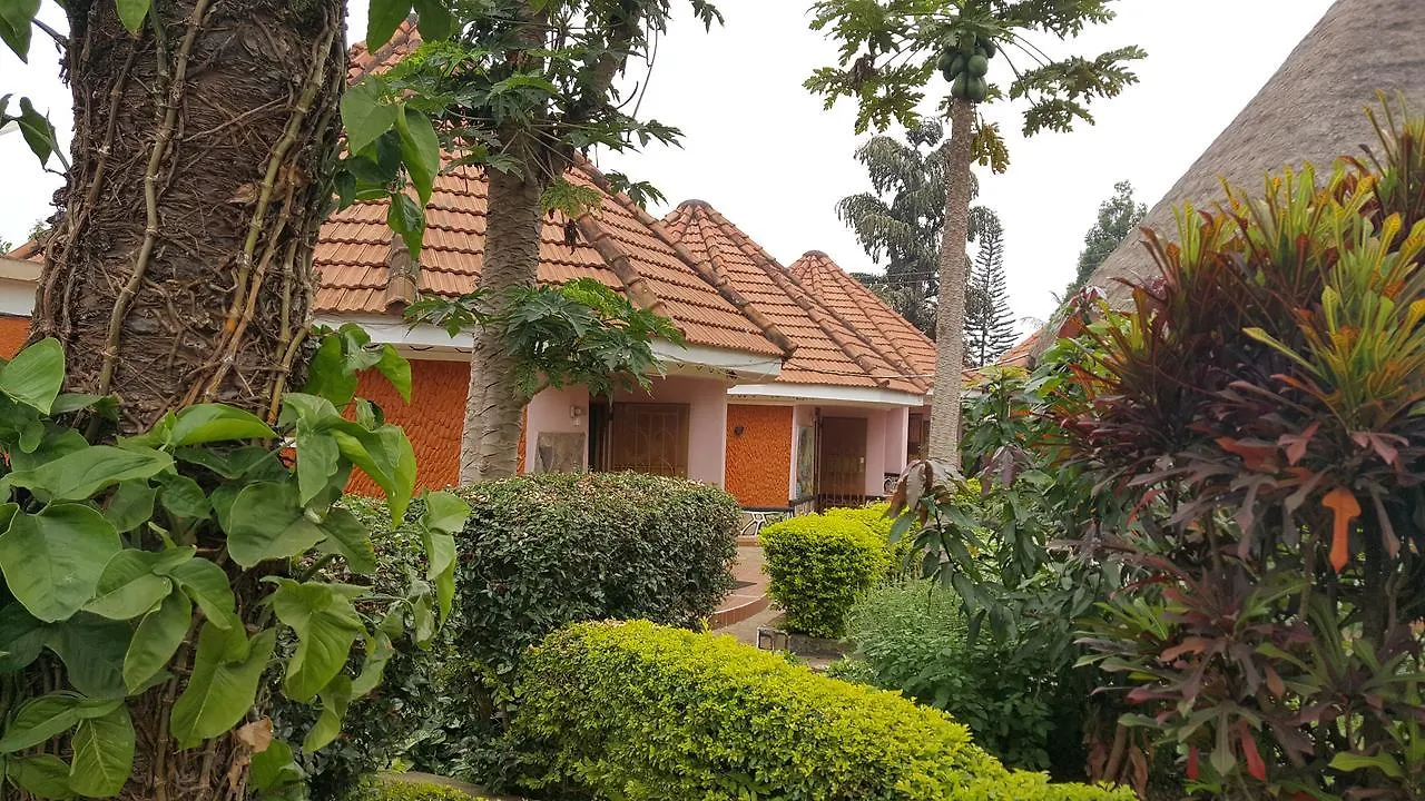 Phenicia Motel contacts